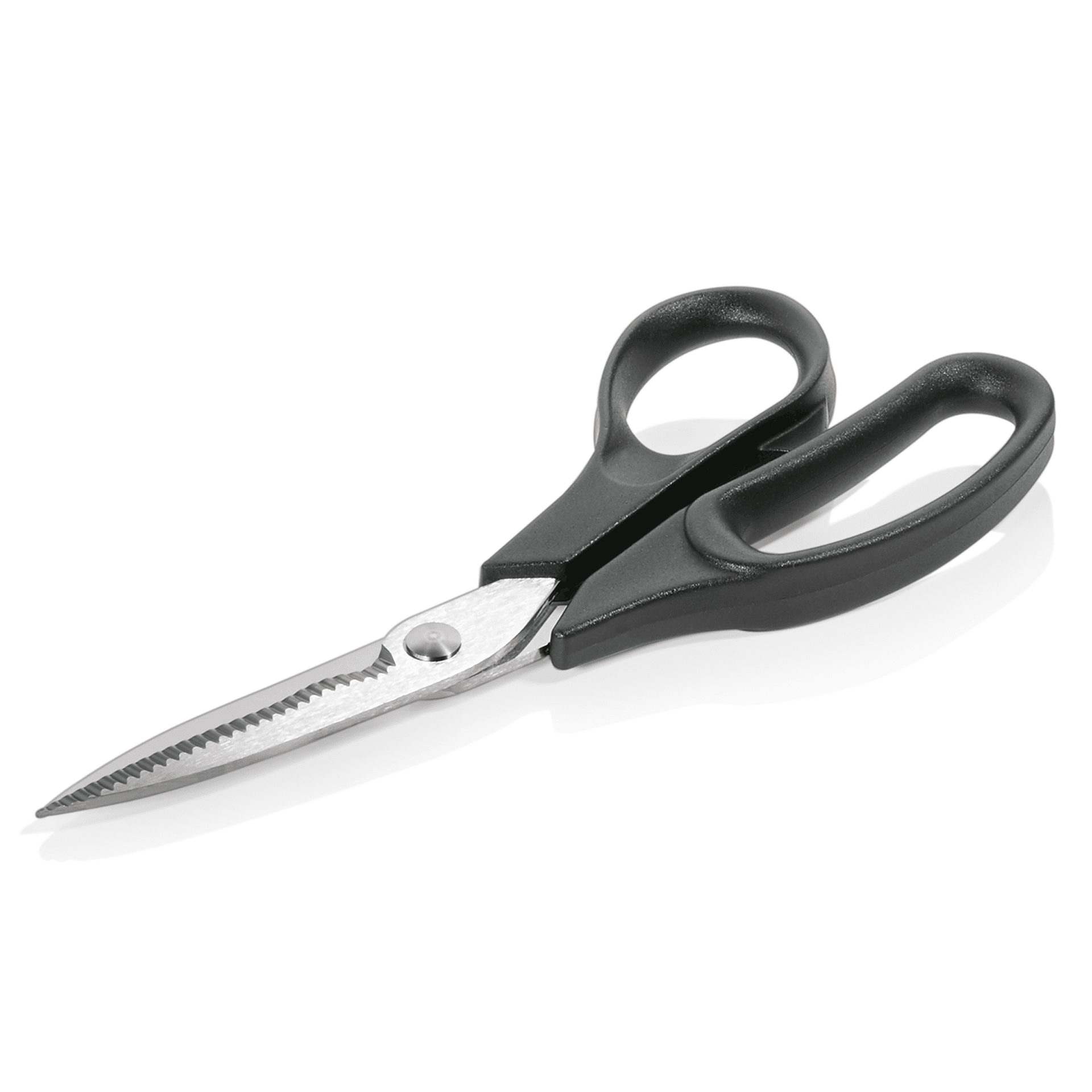 Fischschere, 20 cm, rostfrei
