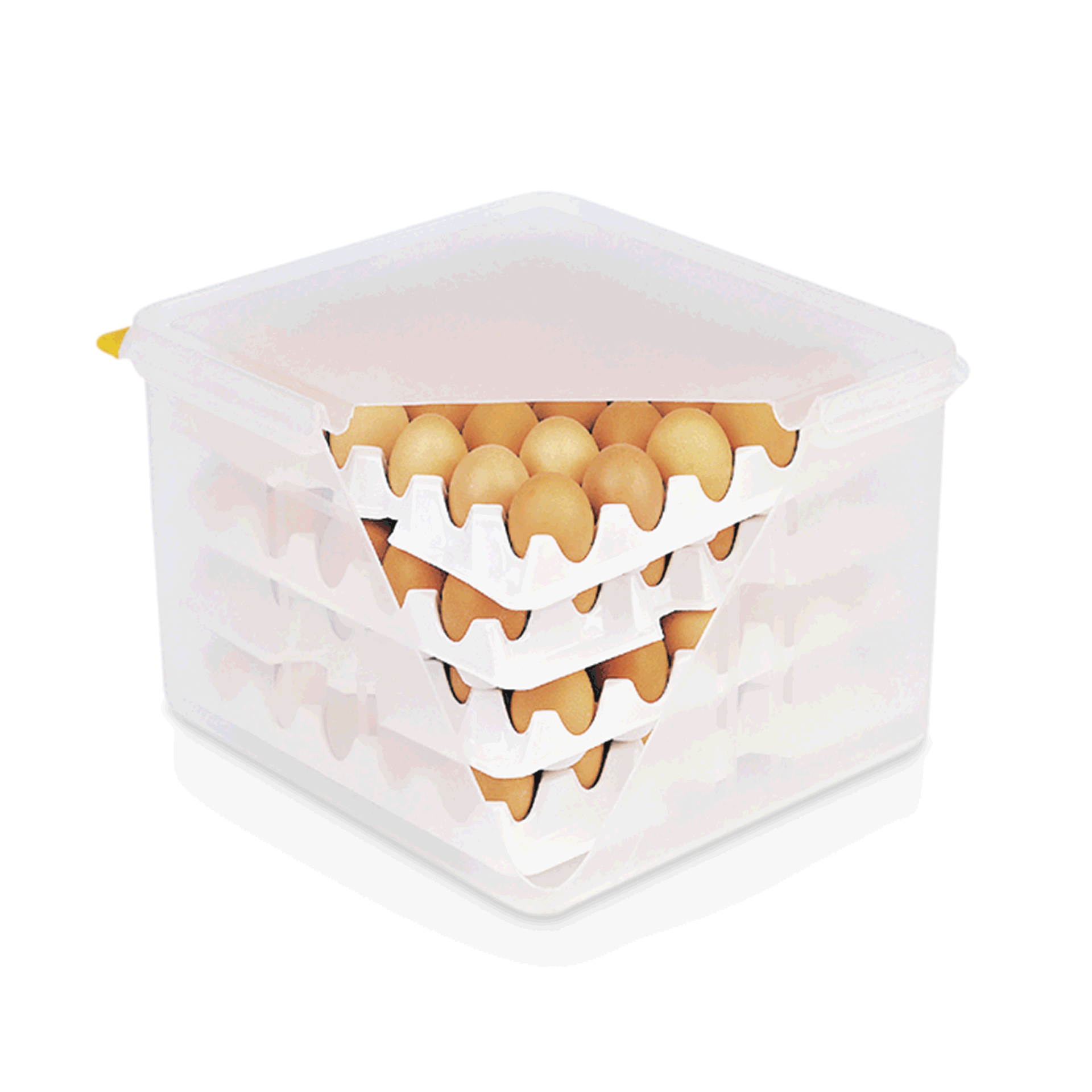 Eier-Box, PP, transparent